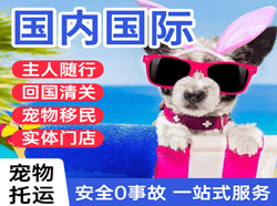 珠海金湾机场货运国际宠物托运 【国